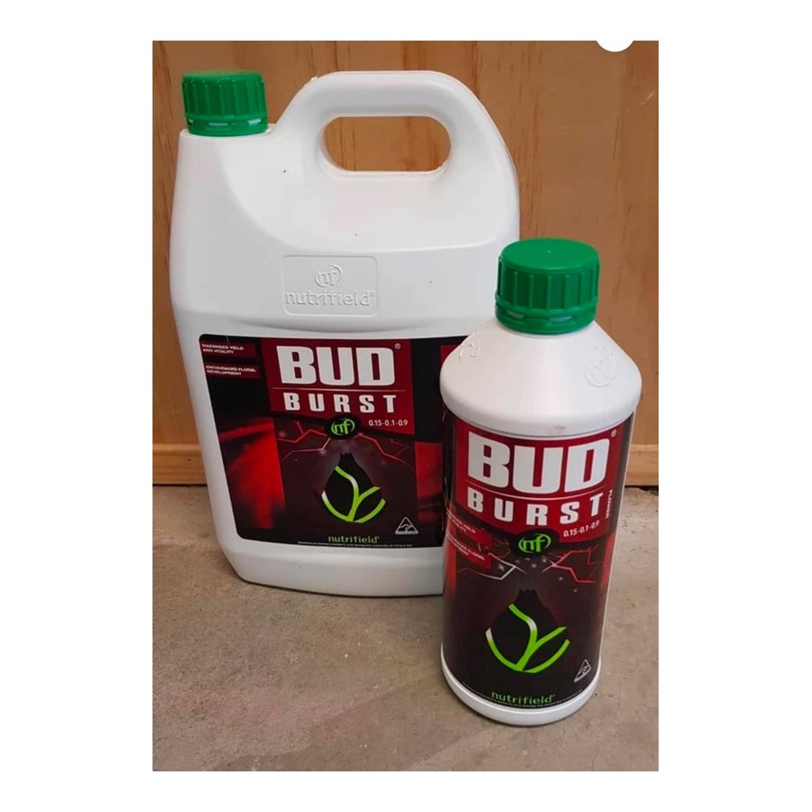 Bud burst 20L