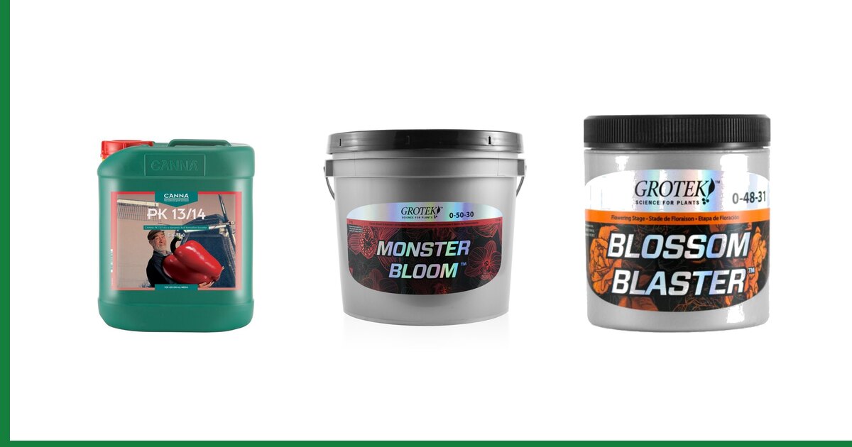 PK boosters and bloom additives: what they do and when to use them